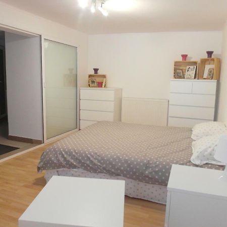Studio Moliere Apartamento Braşov Exterior foto