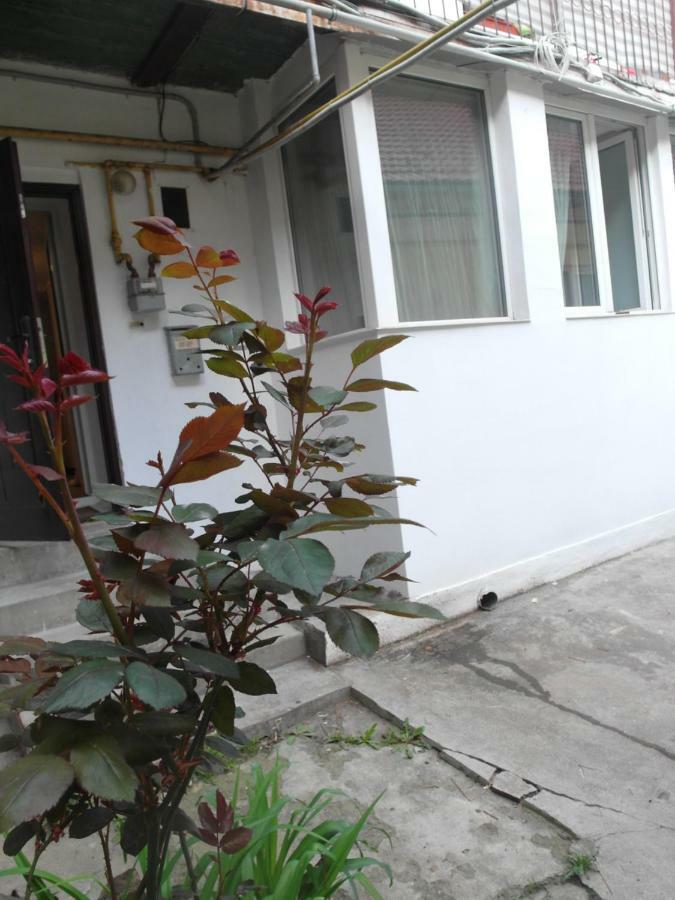 Studio Moliere Apartamento Braşov Exterior foto